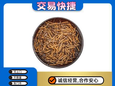 霞山区高价回收散虫草